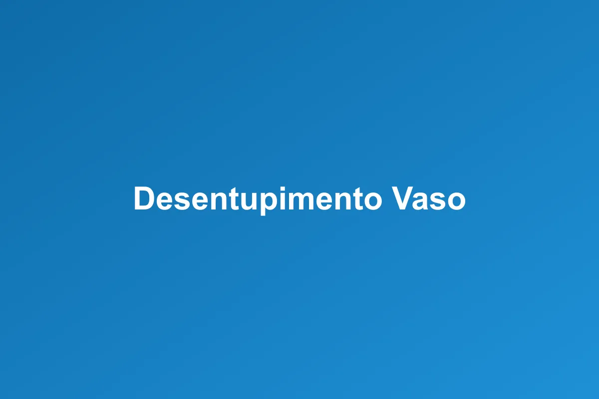 Desentupimento de vaso sanitário em Guarapuava